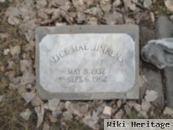 Alice Mae Jinkens