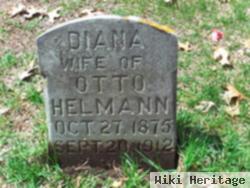 Diana Waldenmaier Helmann