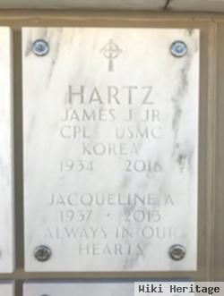 Jacqueline A Hartz