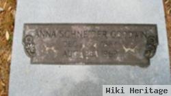 Anna Schneider Goodwin