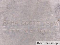 Sara Scott Trew