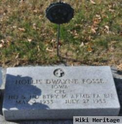 Hollis Dwayne Fosse