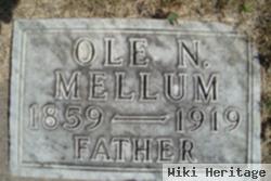 Ole N. Mellum