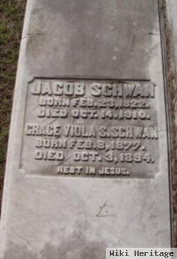 Grace Viola S Schwan