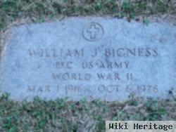 William John Bigness