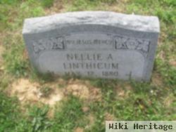 Nellie Agnes Linthicum