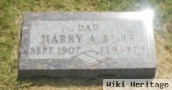 Harry Abraham "harry Abe" Burr