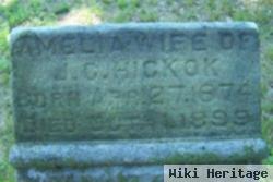 Annetta Amelia "amelia" Nelson Hickok