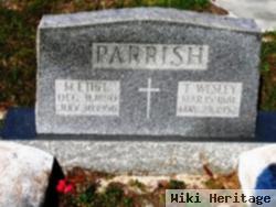 Mary Ethel Beville Parrish