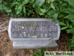 Dorthea L Shafer