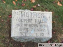 Sophie Halle Meir