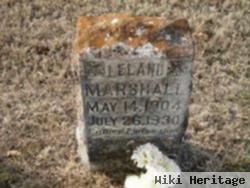 Leland Marshall