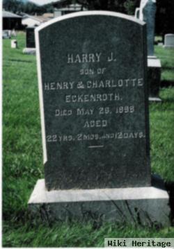Harry J Eckenroth