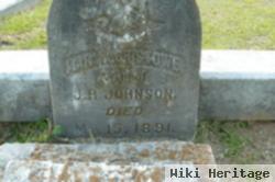 Mary A. Bristoe Johnson