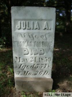 Julia Ann Brassfield Fortune