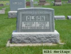 Asle Olson