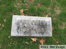 Mary Anne "polly" Yost Reese