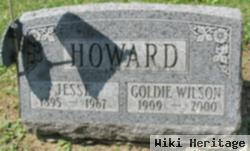 Jesse W Howard