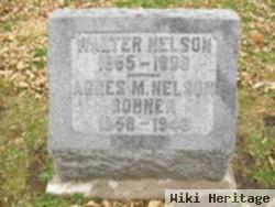 Walter Nelson