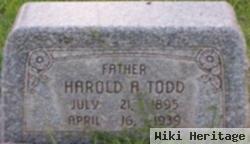 Harold Ami Todd