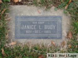 Janice L Budy