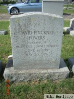 David Pinckney Powers