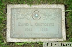 David L. Kristofitz