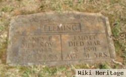 Nancy E. "nannie" Patterson Fleming