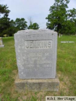 Julia M. Williams Jenkins