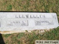 Nathaniel S Llewellyn