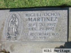 Miguel Ochoa Martinez