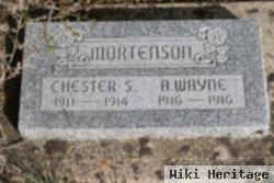 Chester S. Mortenson