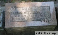 Nathan Mikkelson