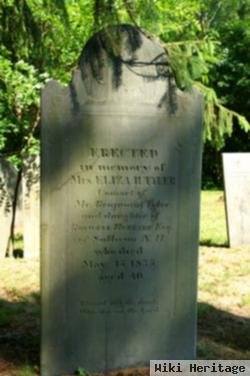 Eliza Hubbard Tyler