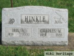 Iris Ann Luster Hinkle