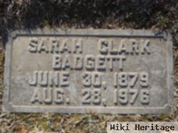 Sarah Clark Badgett