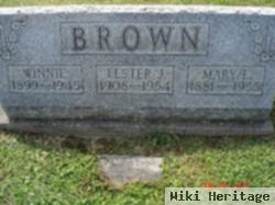 Lester J. Brown