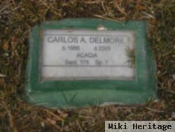 Carlos Adrian Delmore, Jr