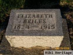 Elizabeth Young Briles