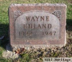 Wayne Uhland