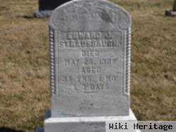 Edward J Strausbaugh