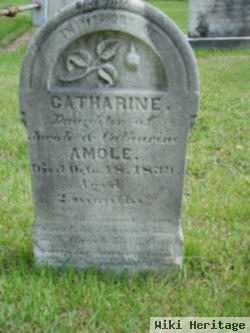 Catharine Amole