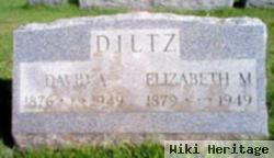 Dr David Alanson Diltz