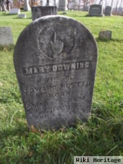 Mary Downing Hester