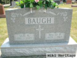 Rev O. P. Baugh