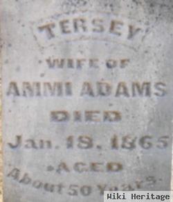 Tersey Condit Adams