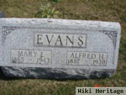 Mary E Evans