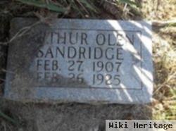 Arthur Olen Sandridge