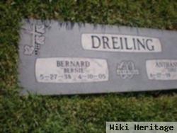 Bernard Ray "bernie" Dreiling