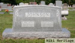 Sarah Ellen Stipp Johnson